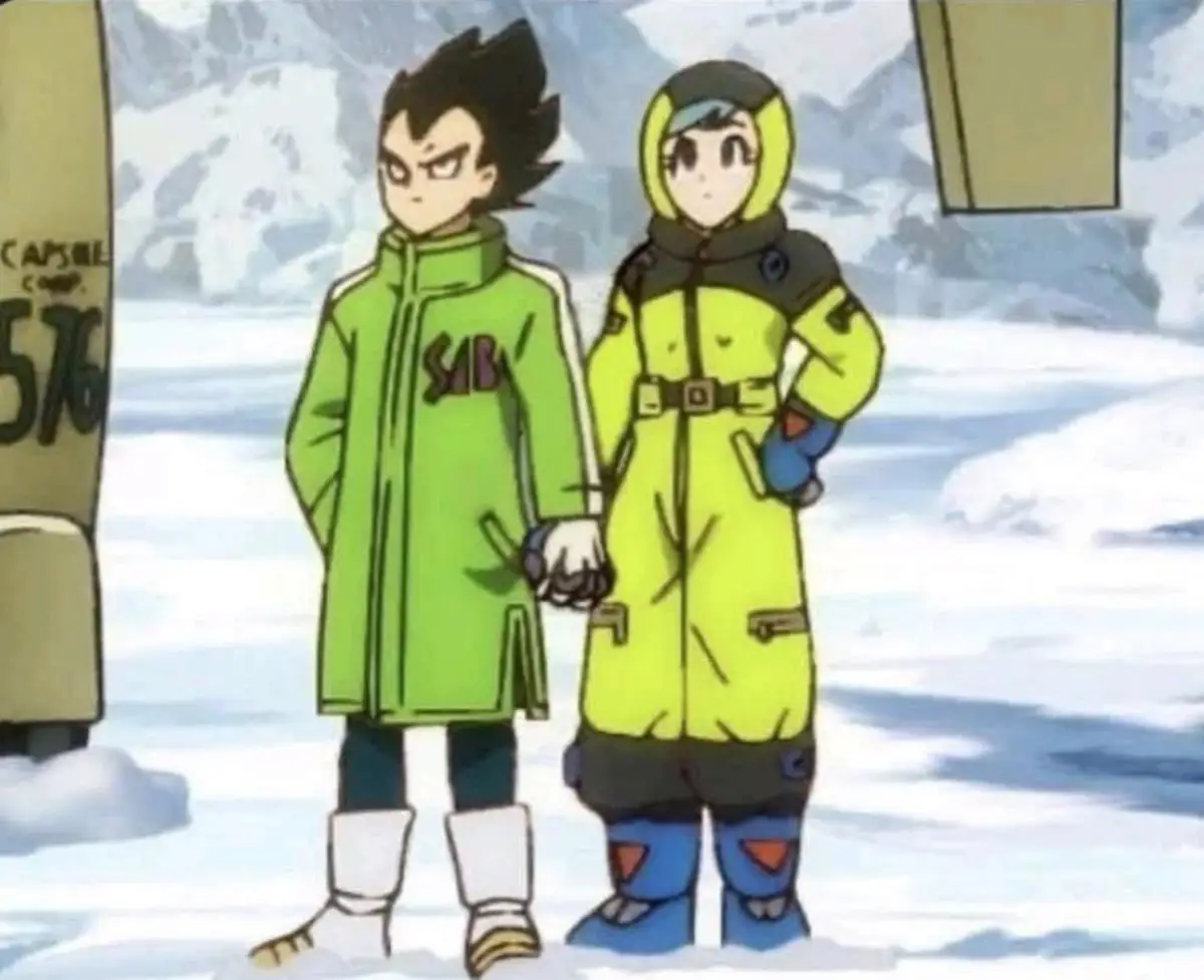 Vegeta and Bulma wearing green winter coats in a snowy landscape, Dragon Ball Z.