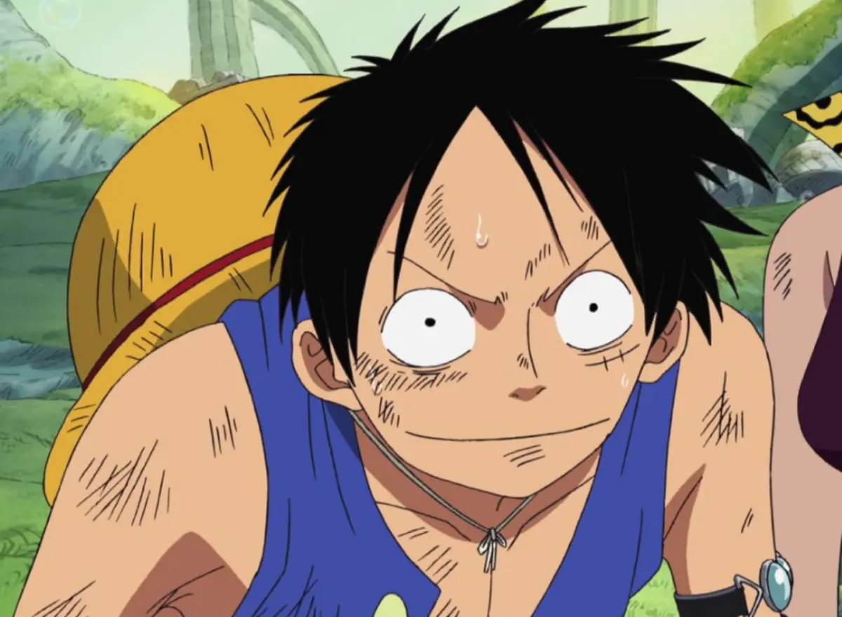 luffy-straw-hat-one-piece-determined-expression